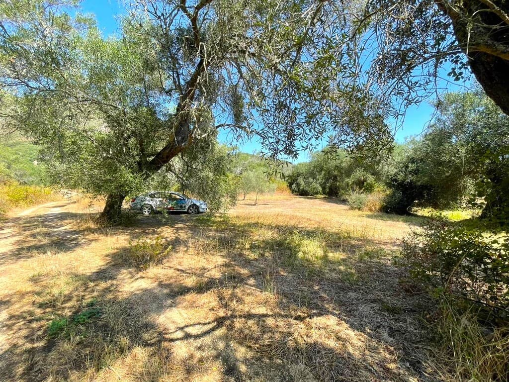 For Sale Land 4030 m² in Corfu