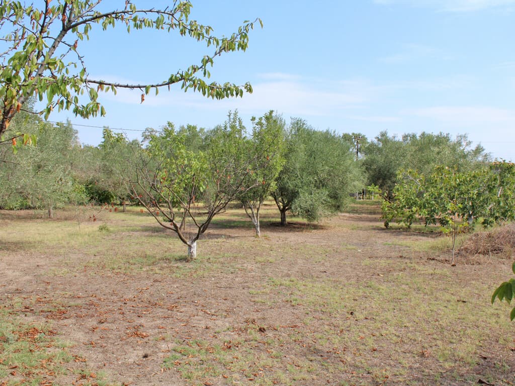 For Sale Land 2200 m² on the Olympic Coast
