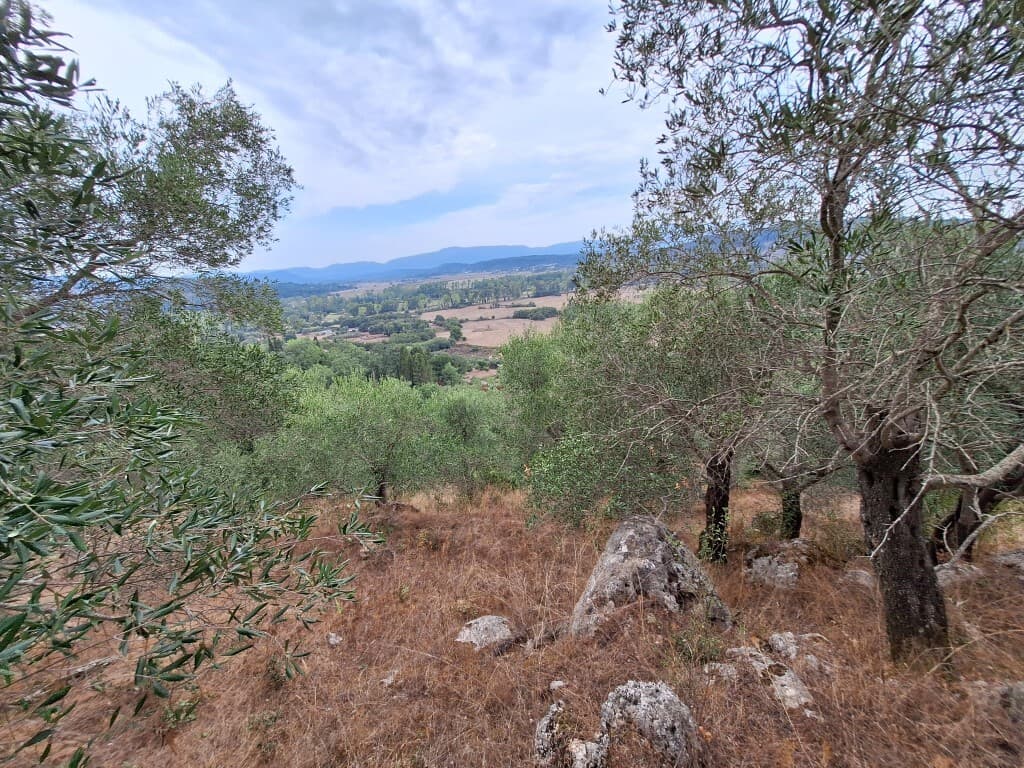 For Sale Land 13000 m² in Corfu