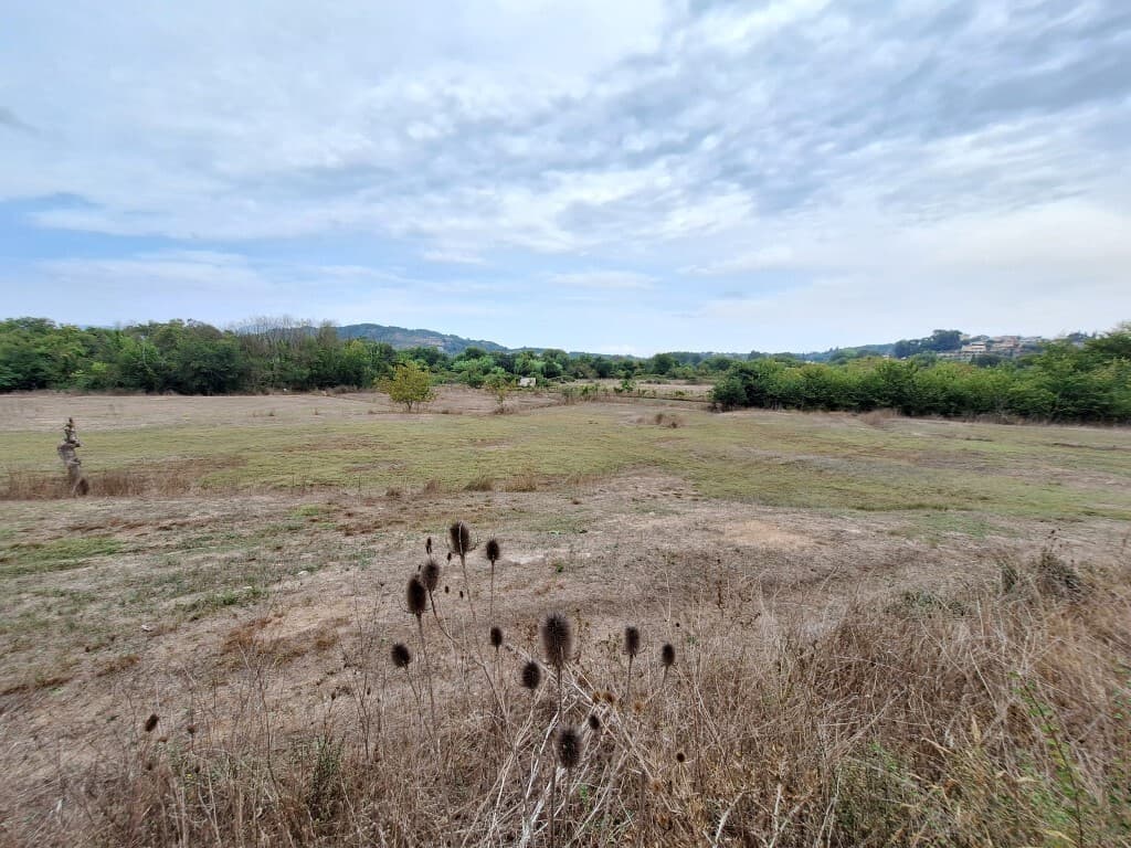 For Sale Land 8000 m² in Corfu