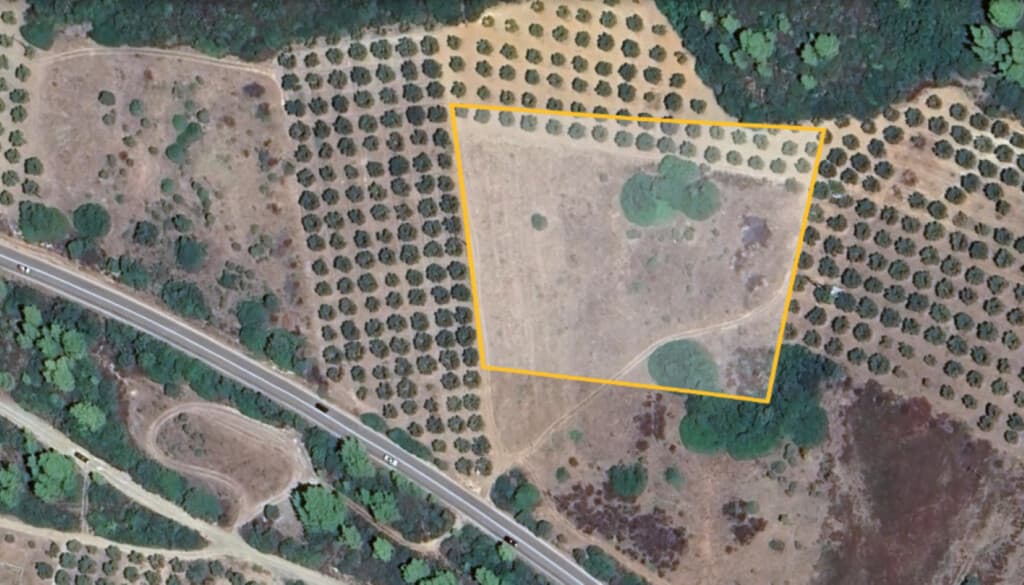 For Sale Land 10000 m² in Sithonia, Chalkidiki