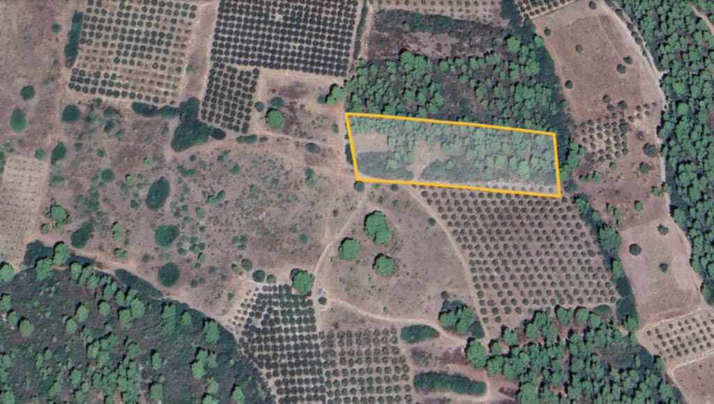 For Sale Land 10000 m² in Sithonia, Chalkidiki