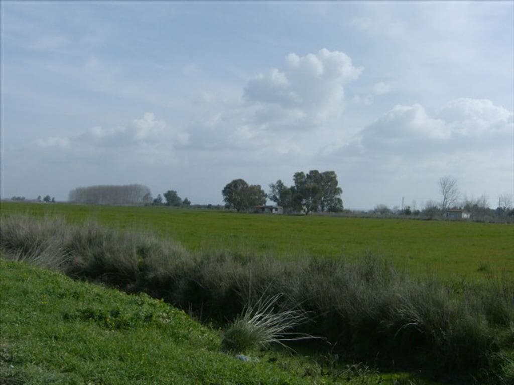 For Sale Land 40000 m² in Western Peloponnese