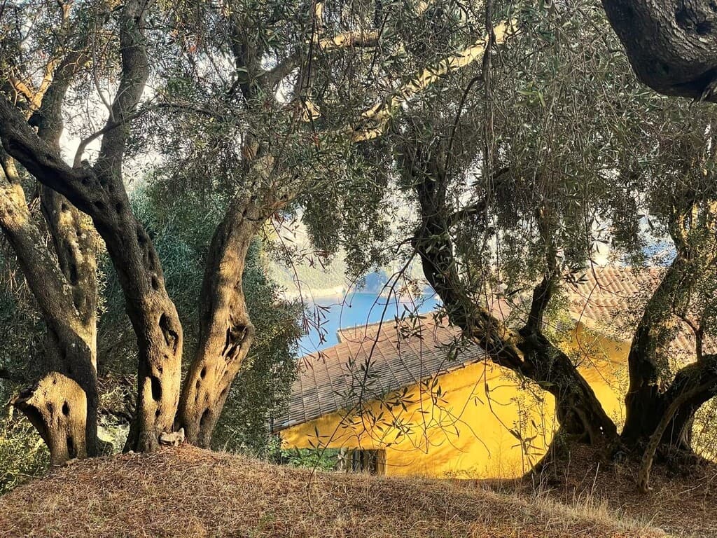 For Sale Land 1035 m² in Corfu