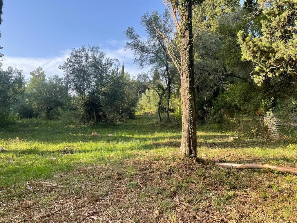 For Sale Land 3321 m² in Corfu