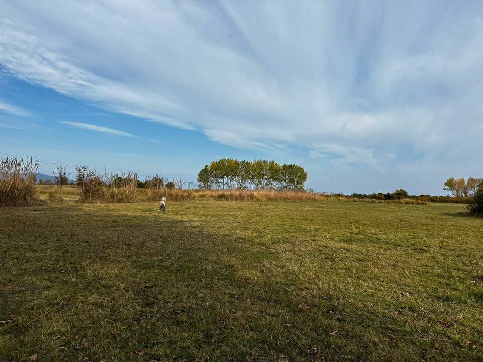 For Sale Land 10000 m² in Athos, Chalkidiki
