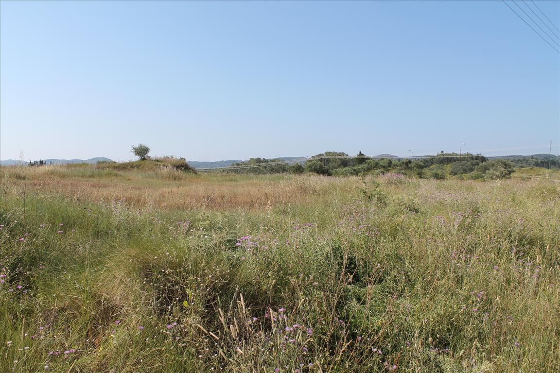 For Sale Land 30000 m² in Corfu