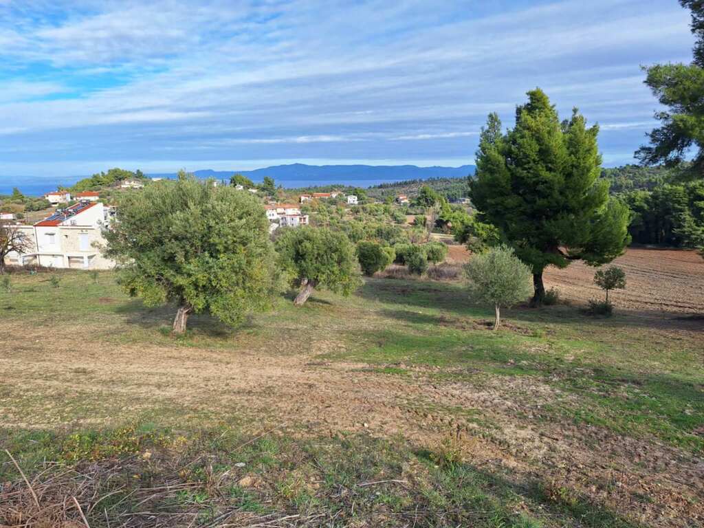 For Sale Land 2822 m² in Kassandra, Chalkidiki