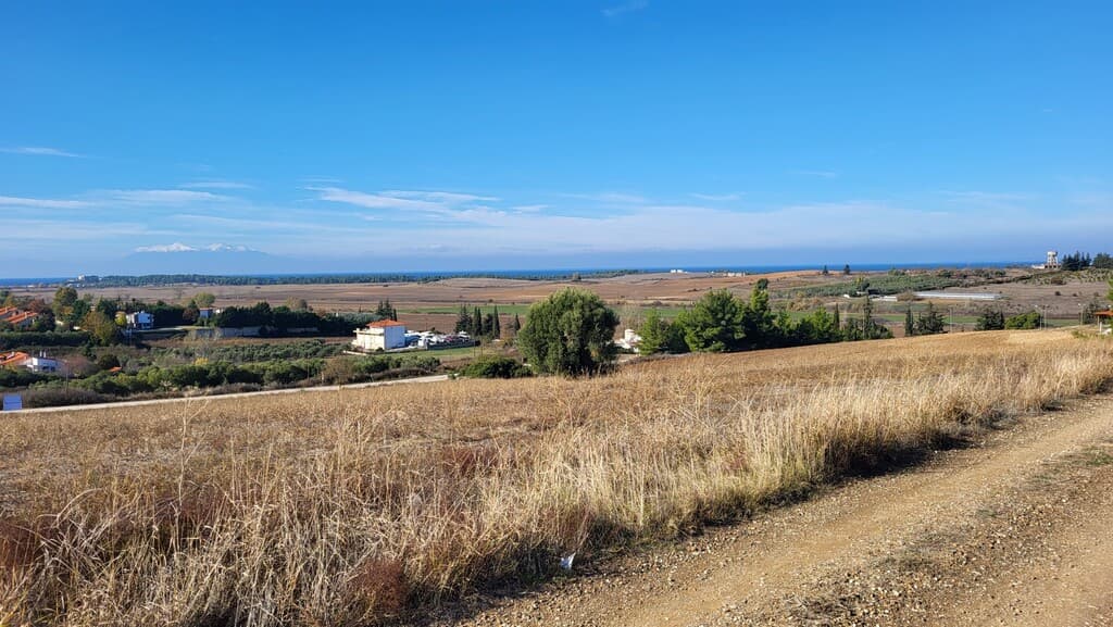 For Sale Land 5000 m² in Kassandra, Chalkidiki