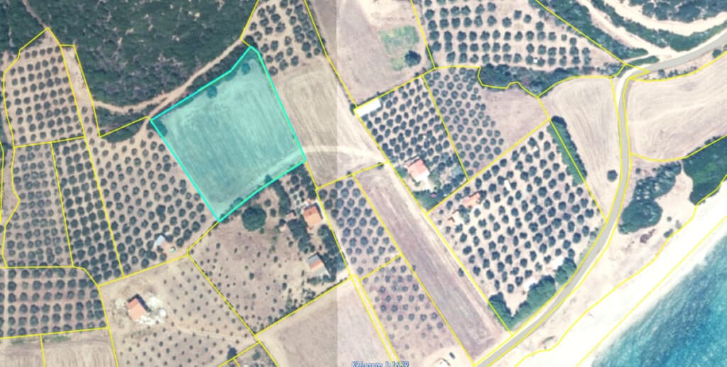For Sale Land 4959 m² in Athos, Chalkidiki
