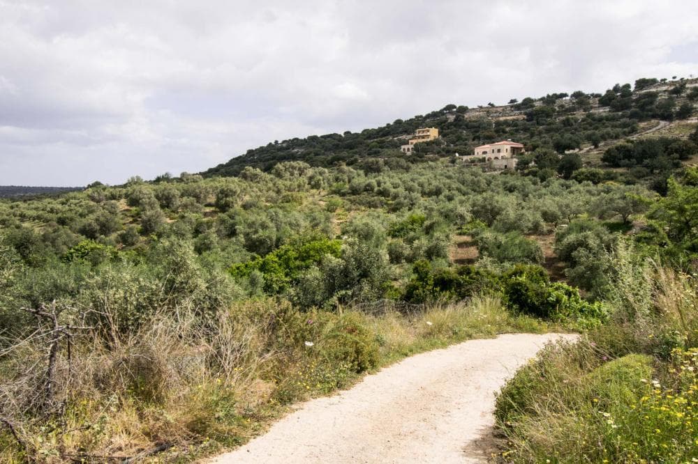 For Sale Land 4014 m² in Crete