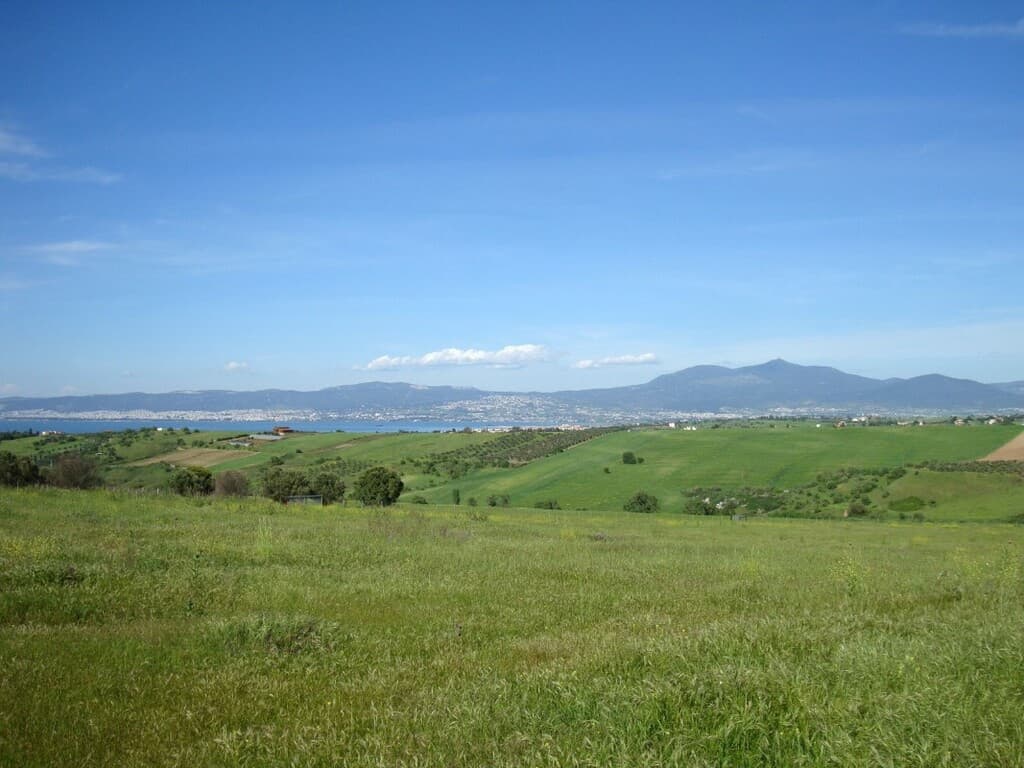 For Sale Land 4770 m² in the suburbs of Thessaloniki