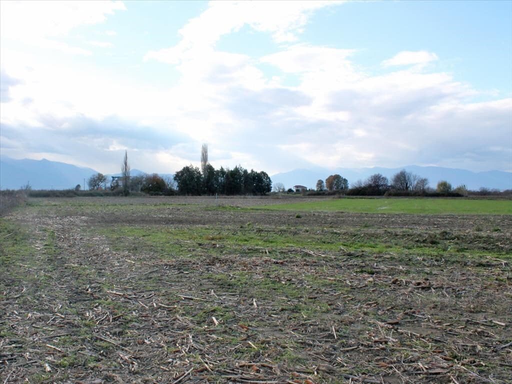 For Sale Land 8500 m² on the Olympic Coast