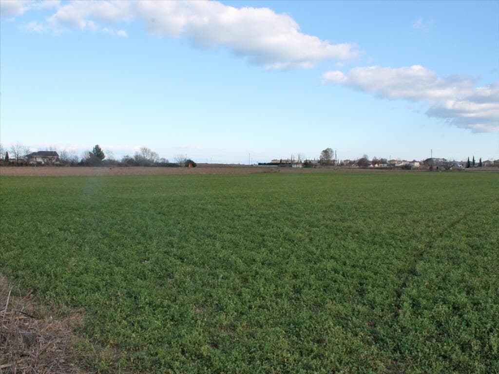For Sale Land 17000 m² on the Olympic Coast
