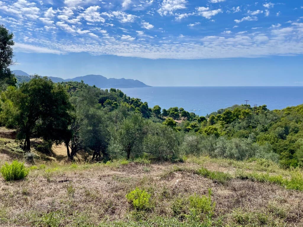 For Sale Land 8000 m² in Corfu