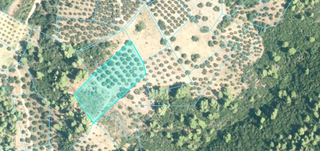 For Sale Land 4903 m² in Sithonia, Chalkidiki