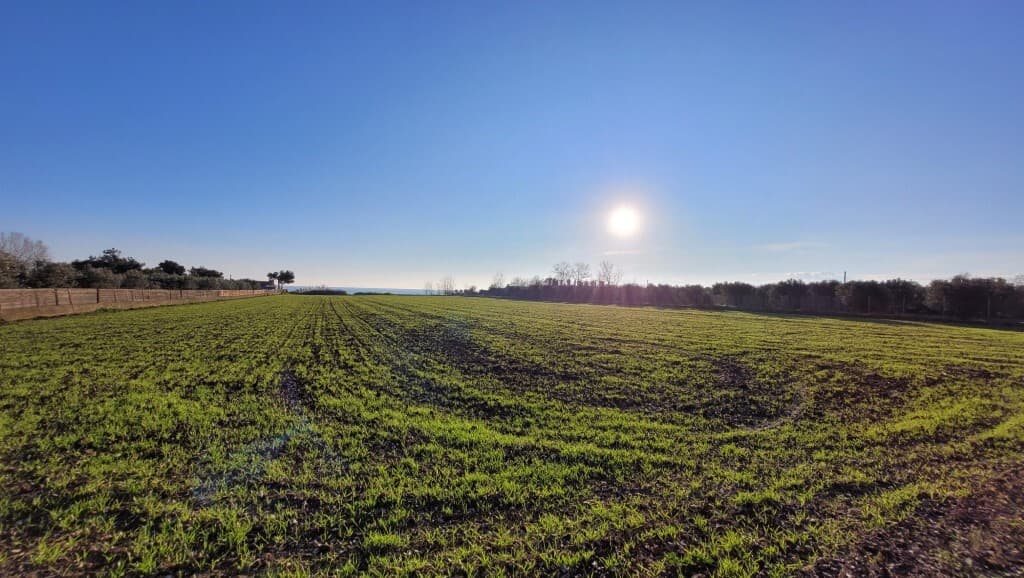 For Sale Land 9375 m² in the suburbs of Thessaloniki