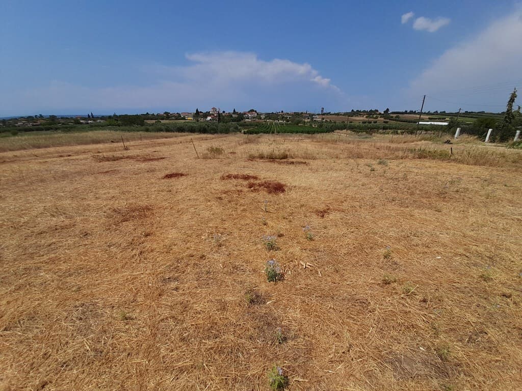 For Sale Land 468 m² in Chalkidiki