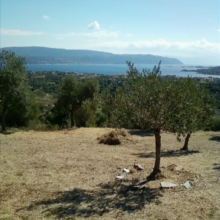 For Sale Land 1700 m² in Athos, Chalkidiki
