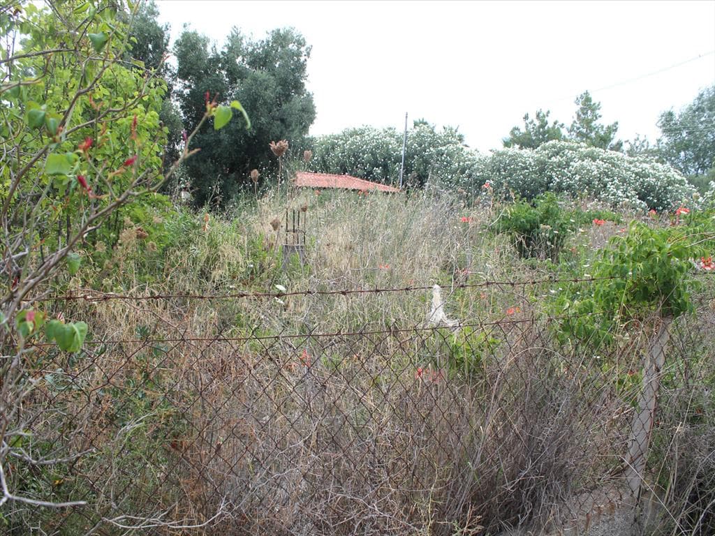 For Sale Land 600 m² in Kassandra, Chalkidiki