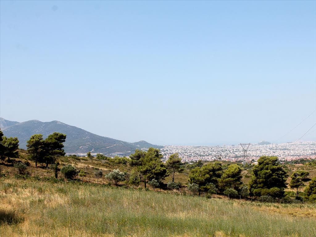 For Sale Land 22000 m² in Athens