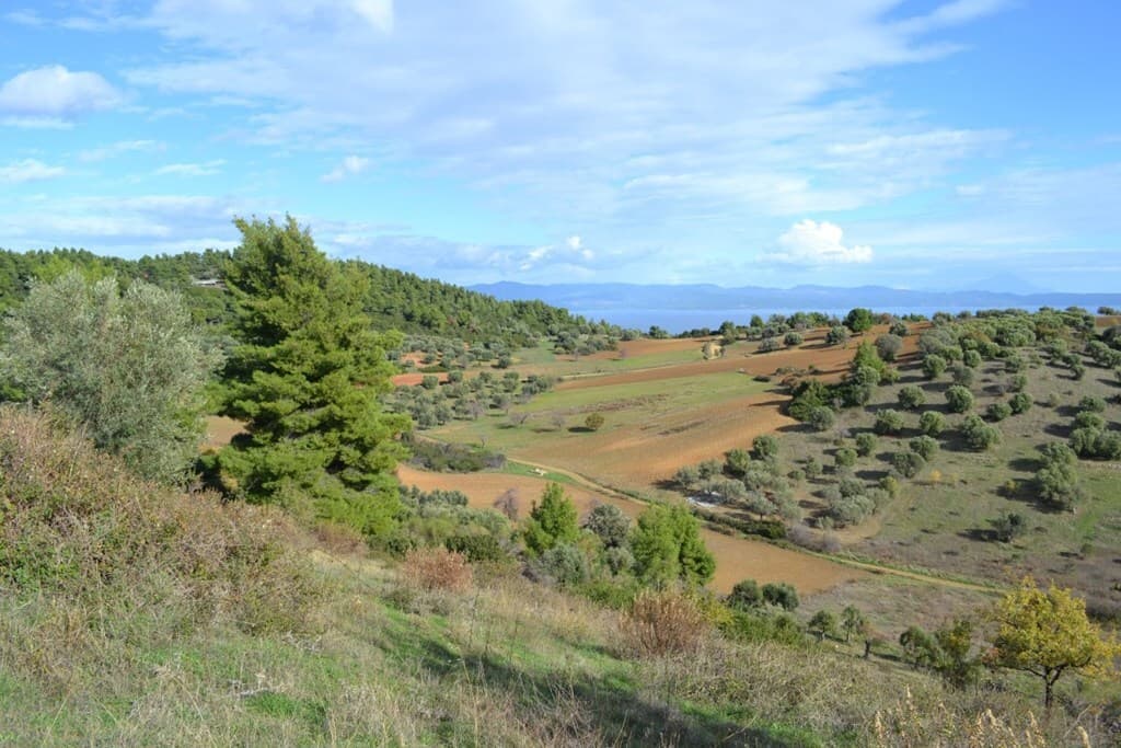 For Sale Land 5100 m² in Kassandra, Chalkidiki