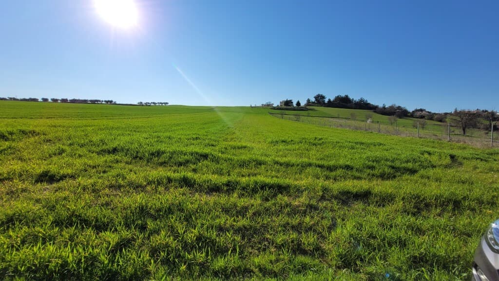 For Sale Land 5500 m² in the suburbs of Thessaloniki