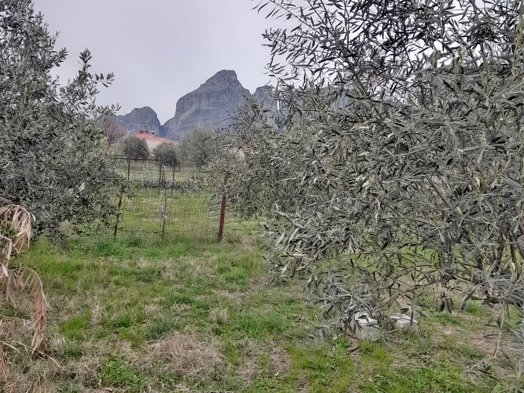 For Sale Land 180 m² in central Greece