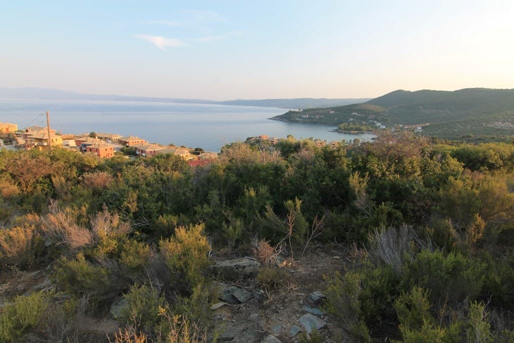 For Sale Land 9500 m² in Athos, Chalkidiki