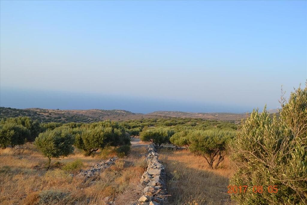 For Sale Land 15570 m² in Crete
