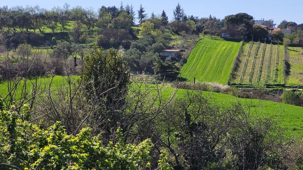 For Sale Land 4625 m² in the suburbs of Thessaloniki