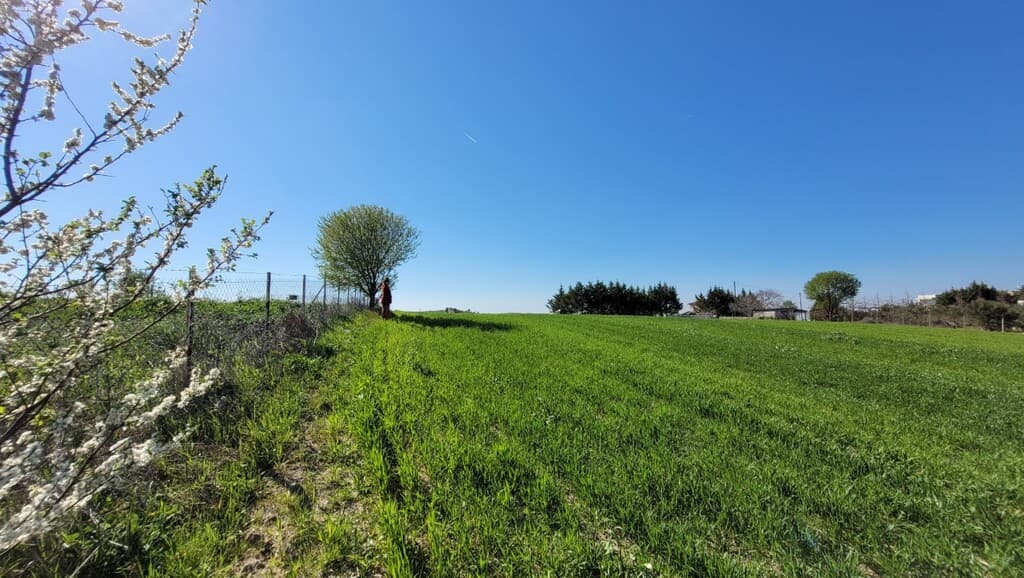 For Sale Land 7311 m² in the suburbs of Thessaloniki