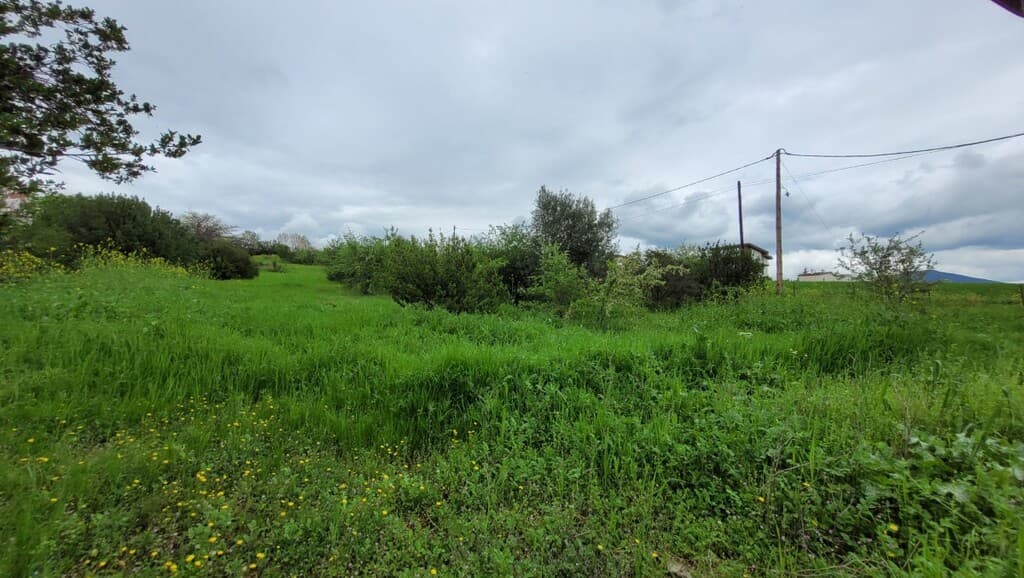 For Sale Land 4000 m² in the suburbs of Thessaloniki
