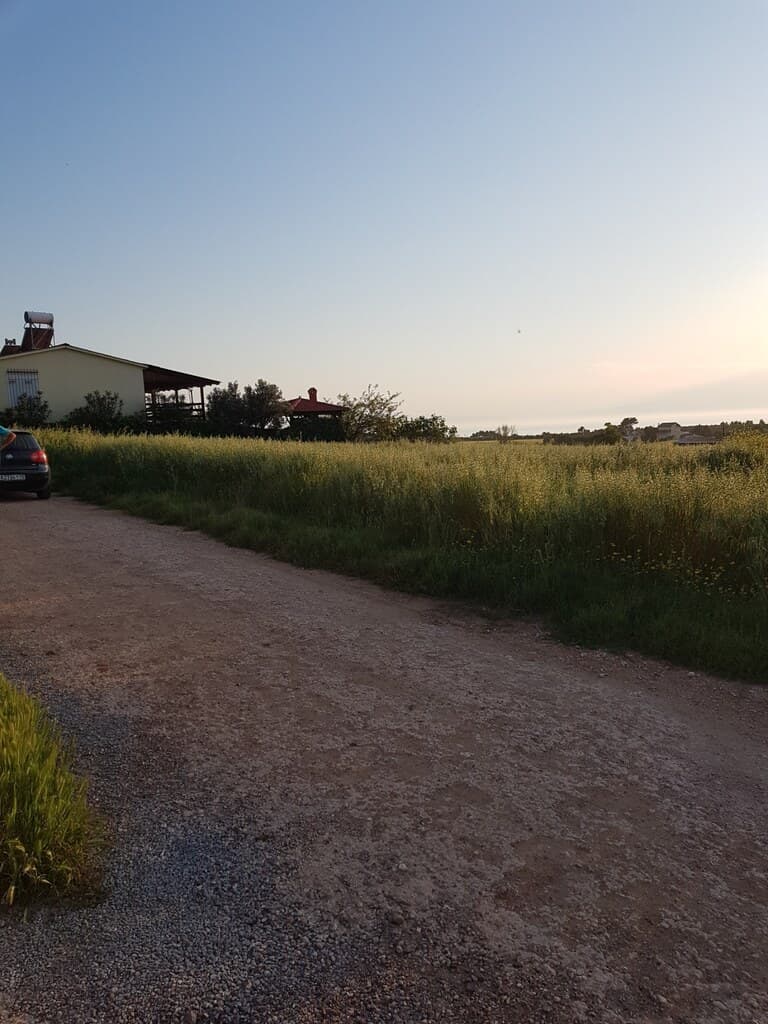 For Sale Land 4980 m² in Kassandra, Chalkidiki