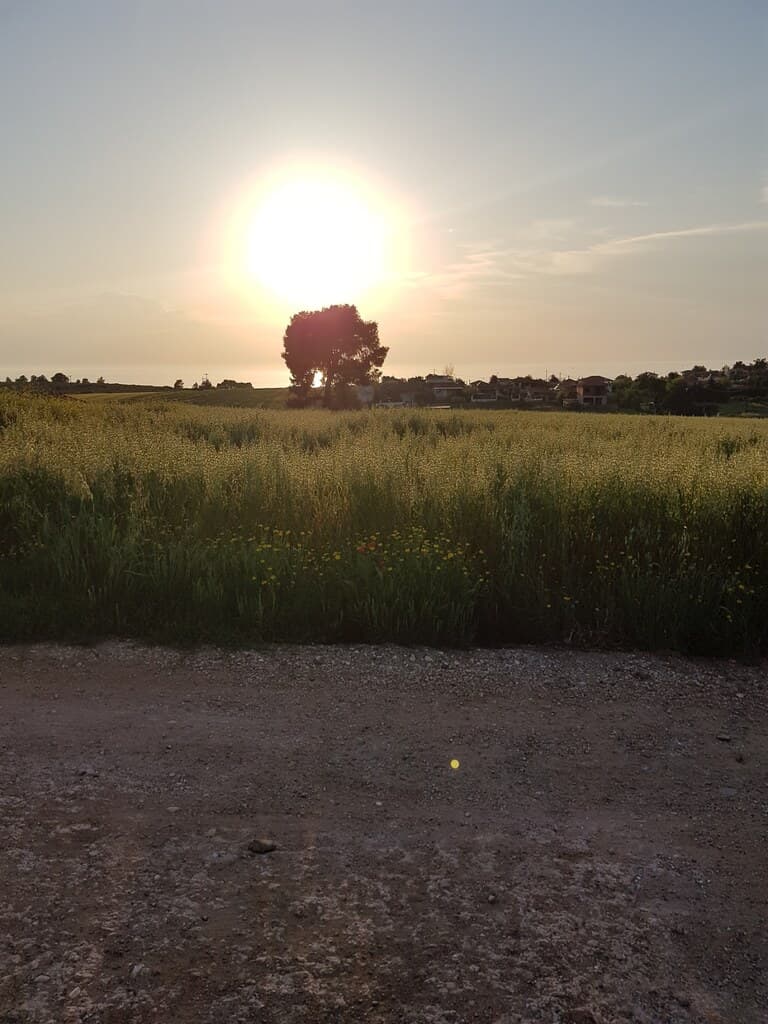 For Sale Land 4979 m² in Kassandra, Chalkidiki