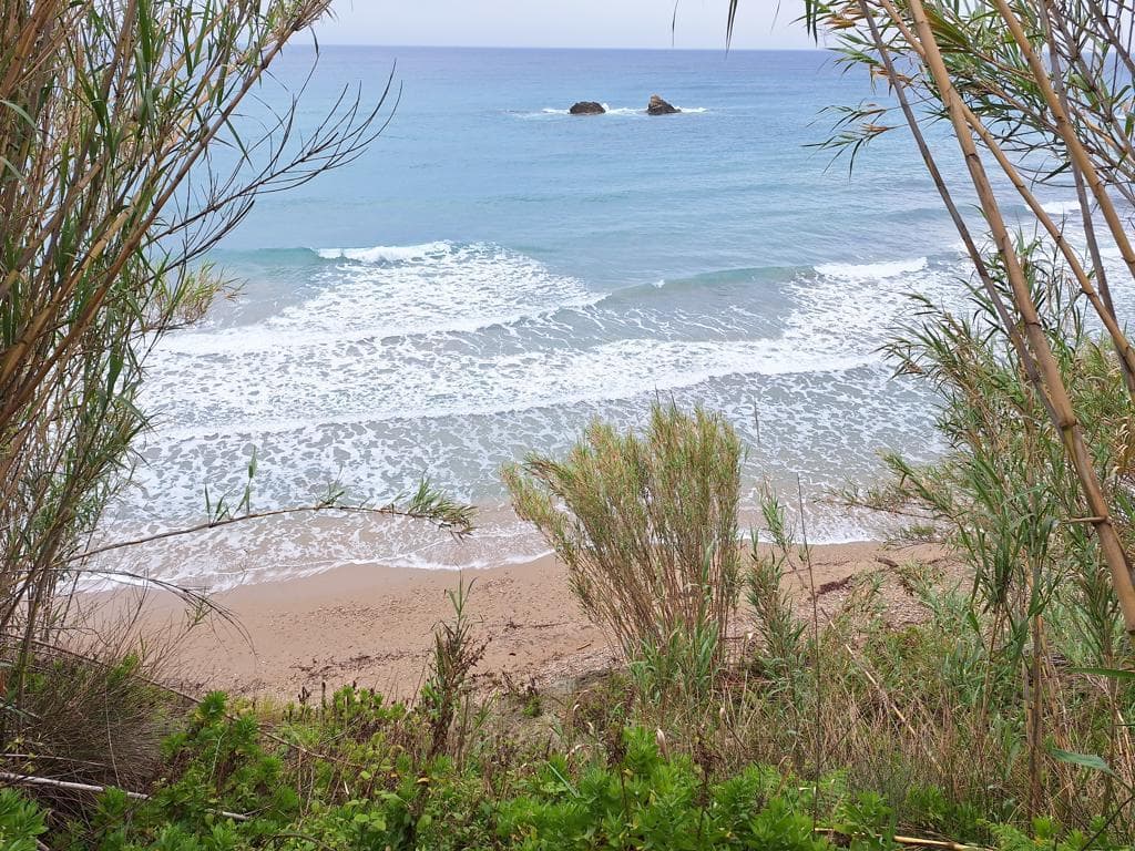 For Sale Land 4444 m² in Corfu
