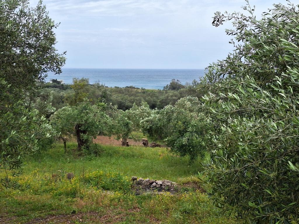 For Sale Land 7000 m² in Corfu