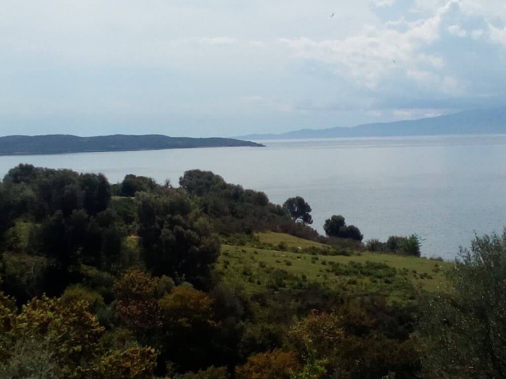 For Sale Land 8500 m² in Athos, Chalkidiki