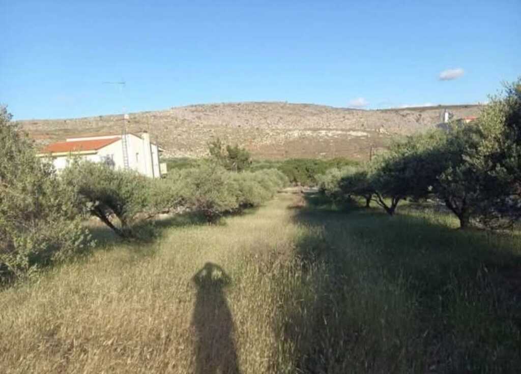 For Sale Land 1968 m² in Crete