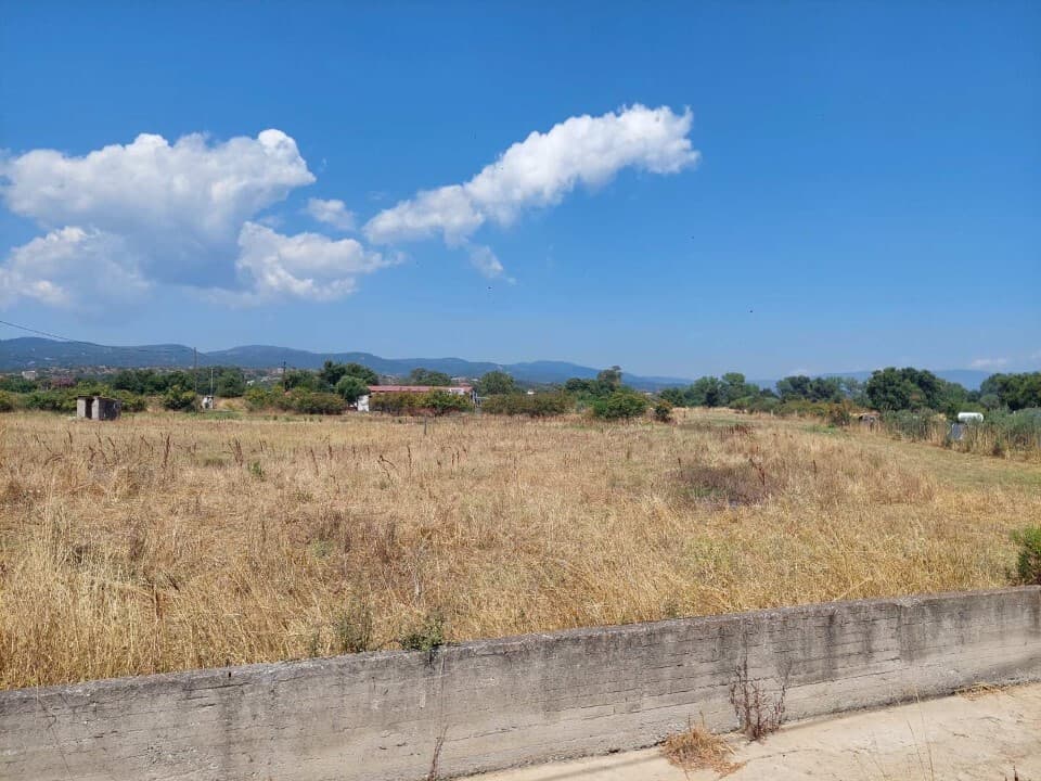 For Sale Land 2542 m² in Athos, Chalkidiki
