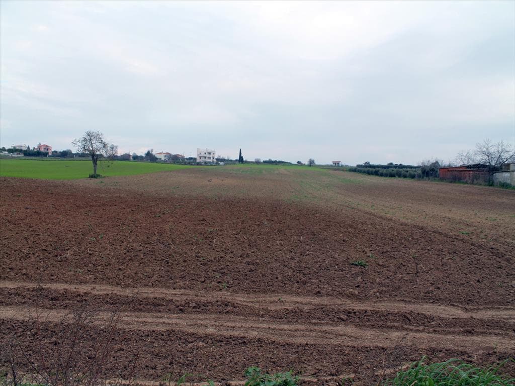 For Sale Land 12250 m² in the suburbs of Thessaloniki