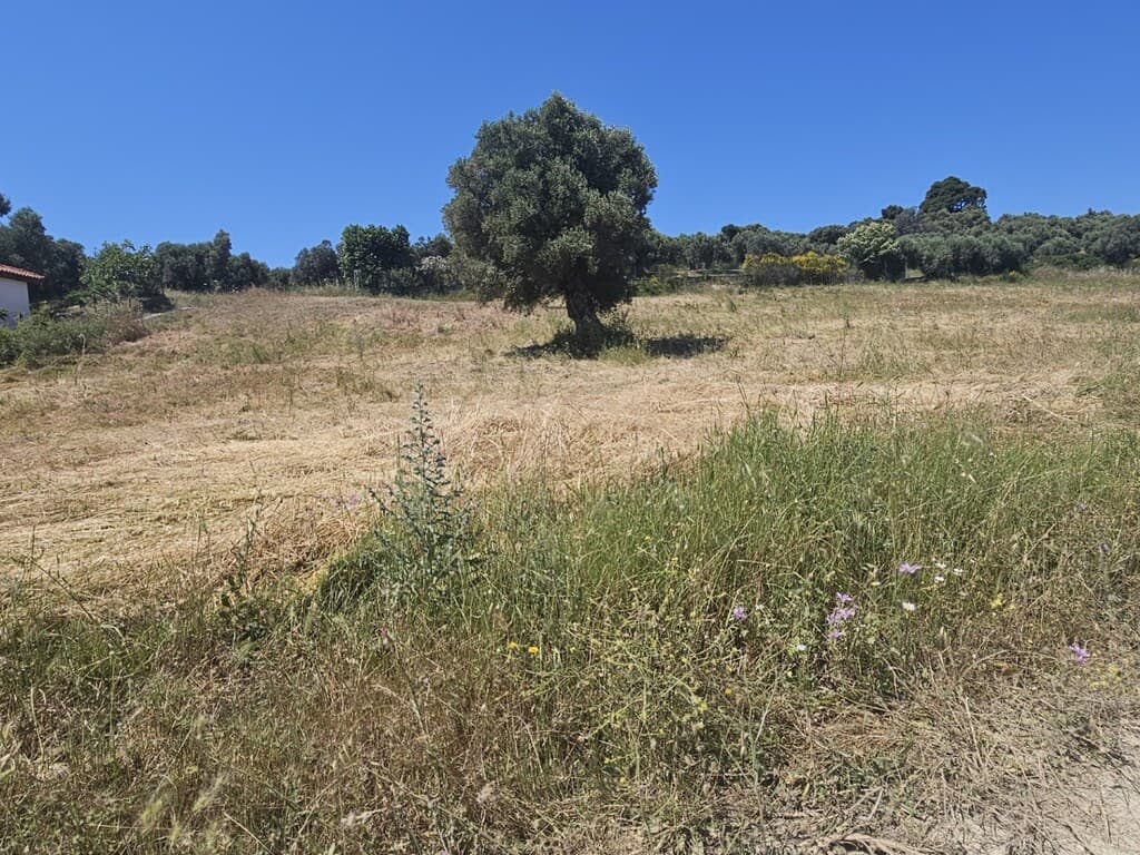 For Sale Land 5800 m² in Kassandra, Chalkidiki