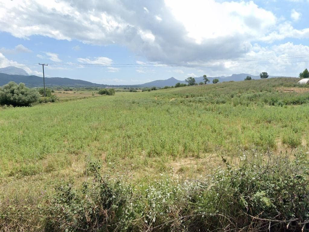 For Sale Land 29796 m² in central Greece