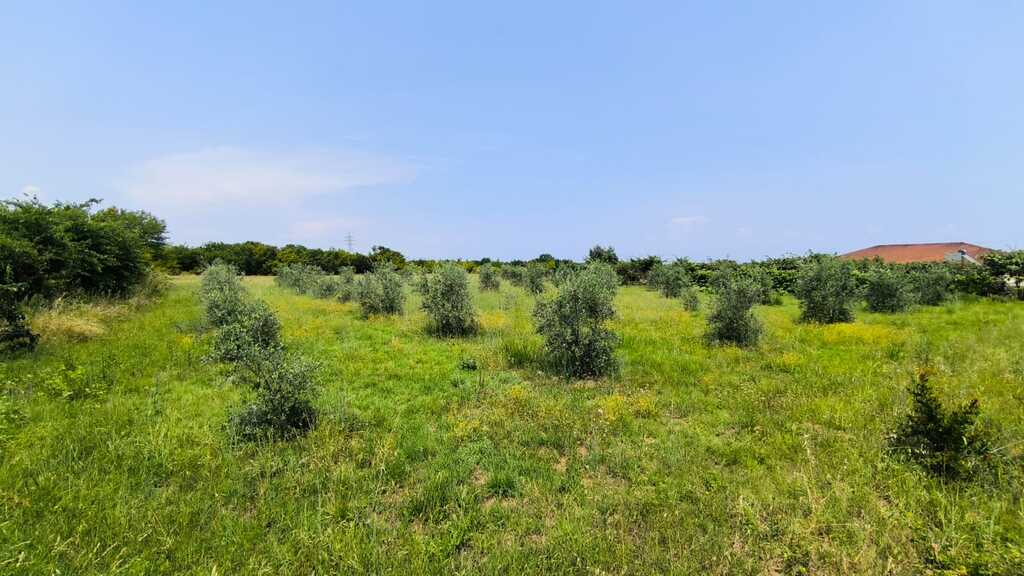 For Sale Land 5432 m² on the Olympic Coast