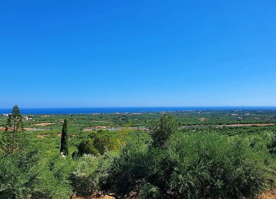 For Sale Land 2950 m² in Crete