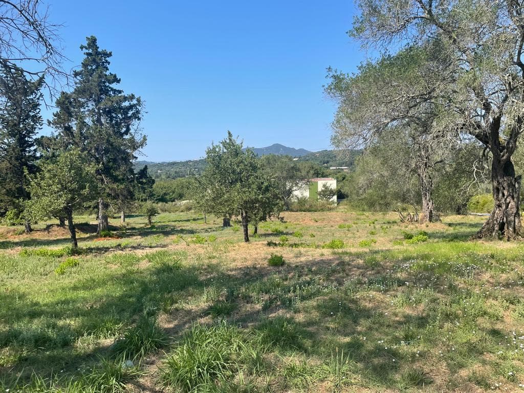 For Sale Land 4154 m² in Corfu