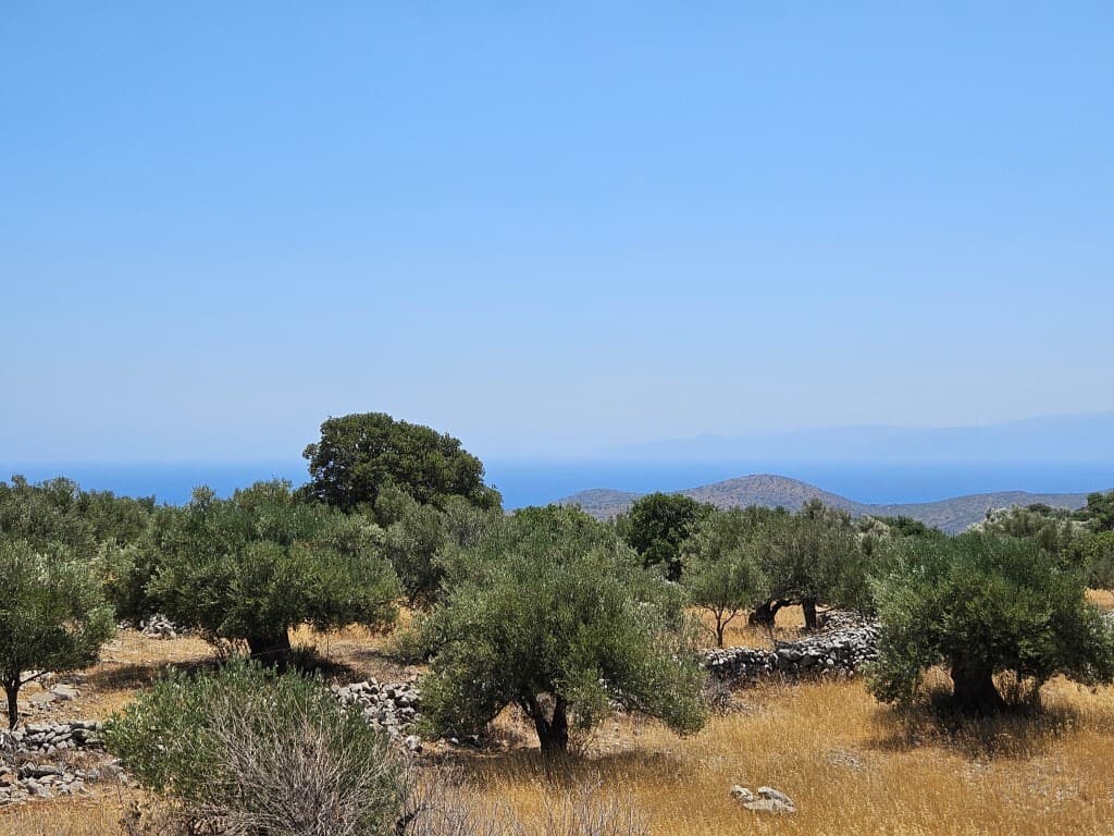 For Sale Land 2610 m² in Crete
