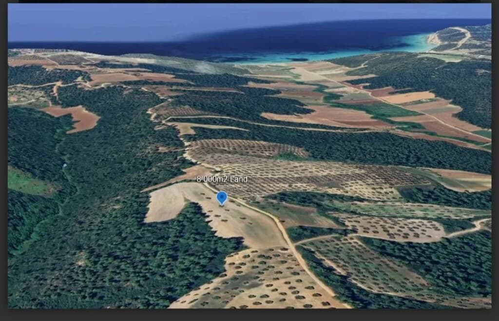 For Sale Land 8000 m² in Kassandra, Chalkidiki