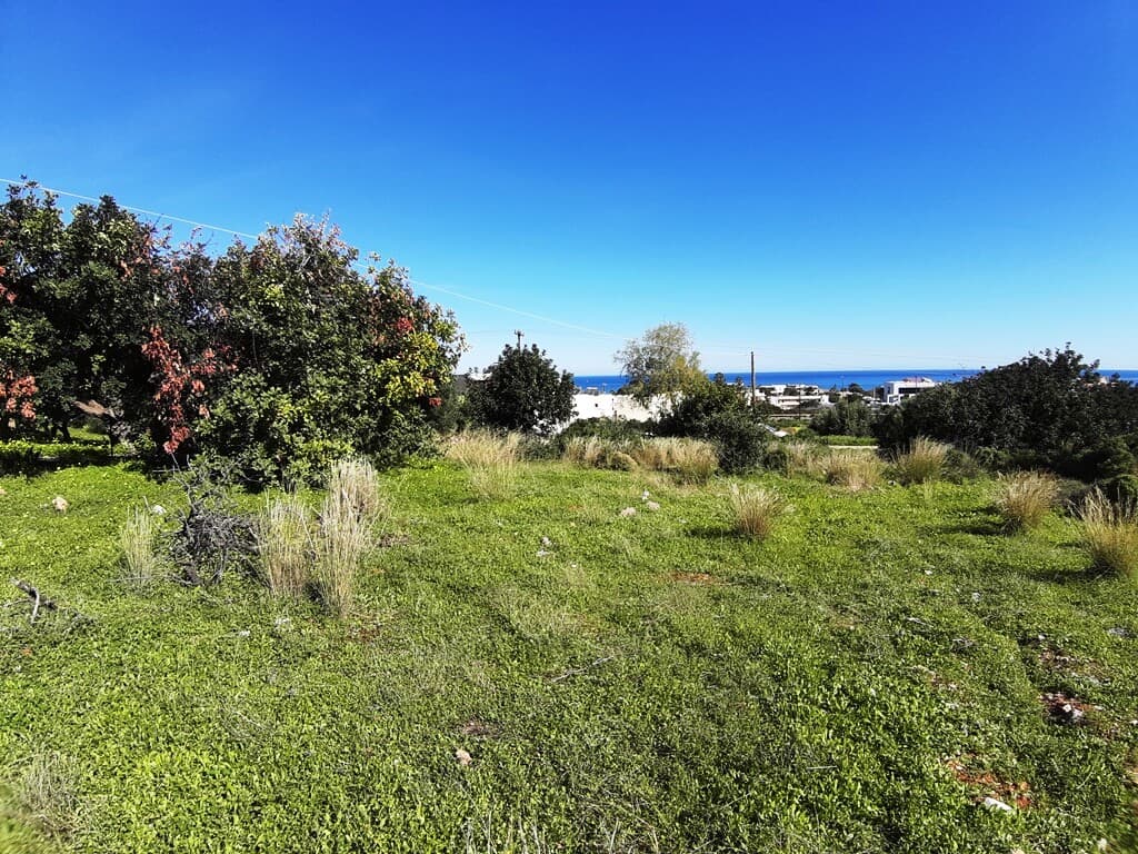 For Sale Land 24000 m² in Crete
