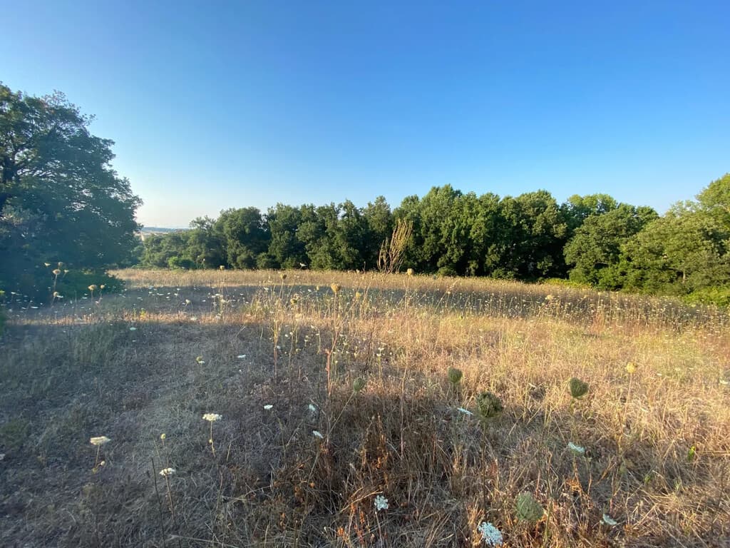 For Sale Land 6159 m² in Kassandra, Chalkidiki